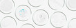 Rectangular banner with Petri dishes isolated. Smears of transparent gel, serum. Can be pasted on your background