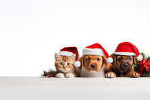 Kitten And Puppy In Red Santa Claus Hats Peek Behind A White Banner Or Board. New Year Poster Layout For A Pet Store Or Veterinary Clinic. Free Space For Product Placement Or Advertising Text.