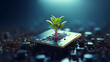 Plant growing on computer chip representing digital ecology business with blurred background.
