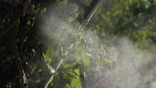 Artificial Fog System For Cooling Streets Against The Background Of Trees, Spraying Water Spray In The Air, Cooling For People. Detail Of Refreshing Sprayers In The Restaurant. Slow Motion.