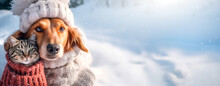 A Cute Puppy And Cat In Cozy Winter Clothes Walks In A Snowy Winter Park. Clothed Pet In A Cold Environment. Christmas Background. Caring For Animals In Winter.