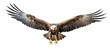 Eagle in flight. Eagle on a light, transparent background. PNG file. Generative AI