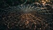 © AY AGENCY - spider web with dew drops