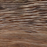 Fototapeta Dmuchawce - Wood Texture