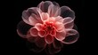  a pink flower with a black background in the middle of it.  generative ai