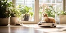A Cat Sits On A Robot Vacuum Cleaner In A Contemporary Living Room With A View Of The Summer Garden Through A Large Window