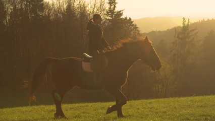 Wall Mural - LENS FLARE, SILHOUETTE: Amazing autumn sunrise with a young lady riding a horse across green pasture. Beautiful nature glows in golden morning sunlight as a female rider trots on her brown stallion.