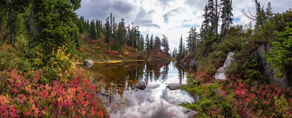 Wall Mural - Lake on top of a Mountain with colorful wild flowers and trees in Fall Season.