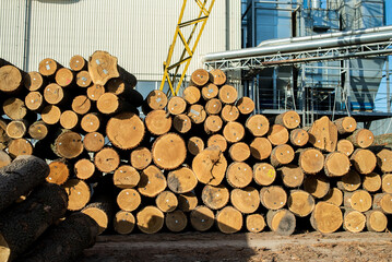 Wall Mural - Woodworking industry. Preparation and processing of wooden logs