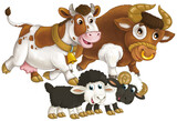 Fototapeta Pokój dzieciecy - cartoon scene with happy farm animal cow and bul and two sheep having fun together isolated illustration for children