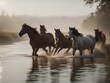 Wild herd of horses running in the cold and misty weather in the river