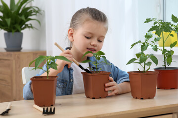 Canvas Print - Cute little girl planting seedling into pot at wooden table in room