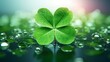 Good luck symbol. Close up of green four-leaf clover with dew drops background. Minimal concept of serendipity, bringing or attracting good luck, prosperity and protection