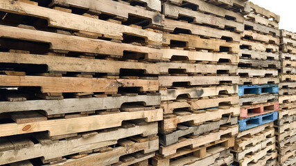 Used pallets standing in a row on a white background