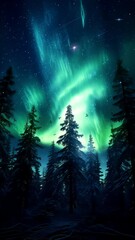 Wall Mural - AURORA NORTHERN LIGHTS NATURE BACKGROUND VIDEO LOOP