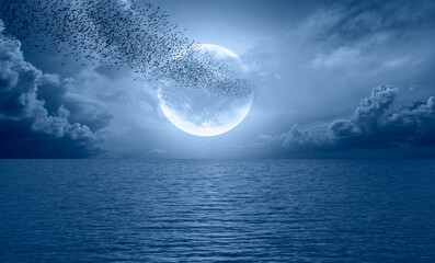 Poster - Flock of starlings migrating to the moon - Silhouette of flock birds flying with full moon at sunset or sunrise 