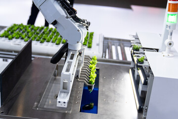 Wall Mural - Agricultural robots are working in vegetable greenhouses