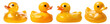 Set of yellow rubber ducks cut out