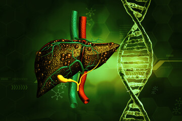 Sticker - Human Liver anatomy on DNA scientific background. 3d illustration.