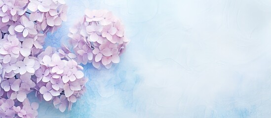 Poster - Water droplet on a hydrangea isolated pastel background Copy space