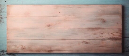 Canvas Print - copy space image on isolated background with wooden sign