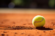 Tennis ball on clay surface