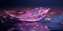 A Purple Leaf With Water Drops On It  The Beauty Of Nature Capturing Water Drops On Purple Leaves  Purple Leaf With Water Drops.AI Generative