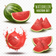 3d watermelon. Water melon slice and whole, summer red juice food, natural berry logo, piece of fruit in splash, cocktail and juice, dessert or ice cream element. Vector realistic icon set