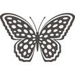 Schmetterling mit transparentem Hintergrund 