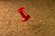 © DanieleRapo - red pin seen in macro stuck on cork board