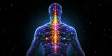 Fototapeta  - 3d rendered illustration of a person, Digital illustration of the chakras and energy points on backbone