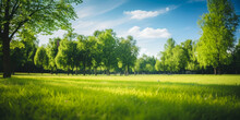 Forest Glade With Trees On The Horizon On A Blue Sky Background Created Using Artificial Intelligence