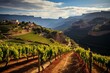 Beautiful view of vineyards in Tarragona's Priorat wine region in Spain. Generative AI
