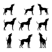 Set Of Greyhound Dogs Silhouettes
