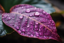 A Close-up Of A Moist Purple Leaf With Water Droplets, With A Blurred Background. Generative AI