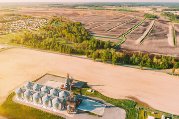 Wall Mural - Modern Granary, Grain-drying Complex, Commercial Grain Or Seed Silos In Sunny Spring Rural Landscape. Corn Dryer Silos, Inland Grain Terminal, Grain Elevators In A Field. Sunlight Sunshine sunny