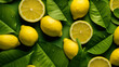 Lemons and lemons with green leaves on a green background