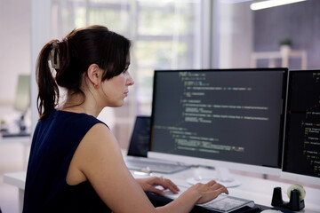 Wall Mural - software programmer or coder woman