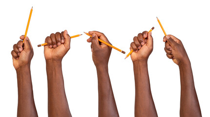 Wall Mural - Man holding a pencil in a hand, writing, drawing and pointing, isolated on white or transparent background