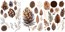 Set Of Pine Cone And Branches Watercolor Collection Of Hand Drawn, Pine Cone Brown Color, Pine Cone Elegant Watercolor , Pine Cone Isolated Transparent Background, PNG.	