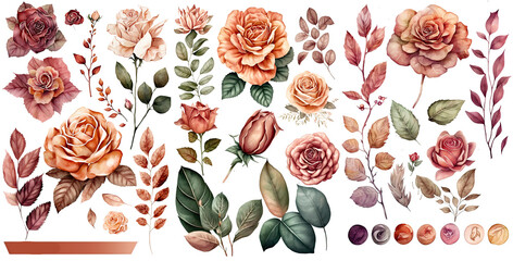 Set of Rose watercolor collection of hand drawn, Rose Peach color , Rose elegant watercolor illustration , Rose isolated transparent background, PNG.