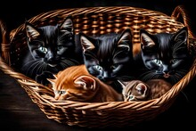 Two Black And One Brown Kitten Are Sleeping In A Basket - AI Generative