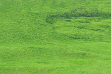 Background Image: Hillside With A Small Hollow Covered With Green Grass