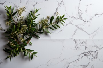 Wall Mural - Clean and empty white marble wallpaper