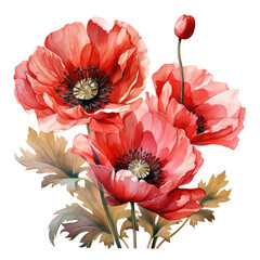 Wall Mural - watercolor poppy clipart, generative ai