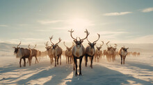 Reindeer Against The Backdrop Of A Tundra Landscape.