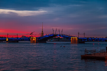 Wall Mural - Open Palace Bridge in St. Petersburg on a white night.