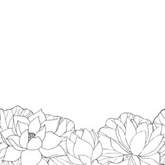 Wall Mural - Frame with vector hand drawn lotus flowers and buds, leaves, black line art illustration. Outline floral drawing for logo, tattoo, packaging design, border with space for text.