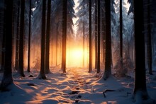 Sunset In The Wood Between The Trees Strains In Winter Period. Generative Ai.