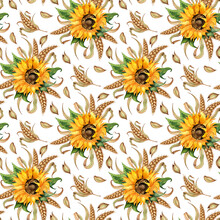 Watercolor Floral Illustration. Pattern Of Sunflowers, Wheat Ears And Grains Isolated On A White Background. Design For Advertising, Beer Festival, Packaging, Label, Harvest Festival.